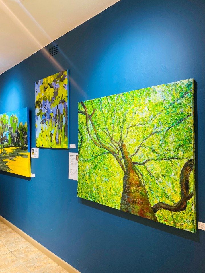 Art exhibition at Sands Gallery